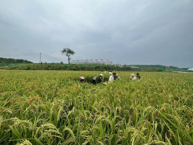 圖片3.png 圖片3.png